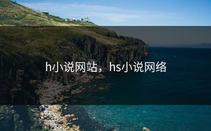 h小说网站，hs小说网络