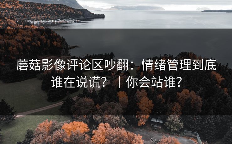 蘑菇影像评论区吵翻：情绪管理到底谁在说谎？｜你会站谁？