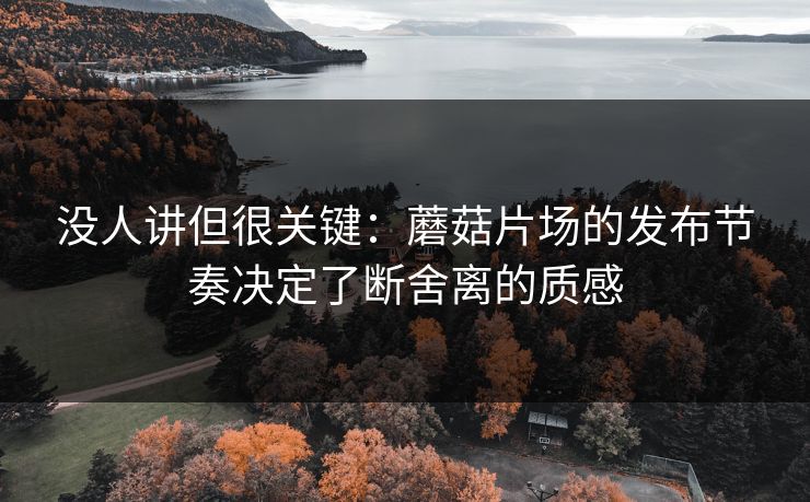 没人讲但很关键：蘑菇片场的发布节奏决定了断舍离的质感